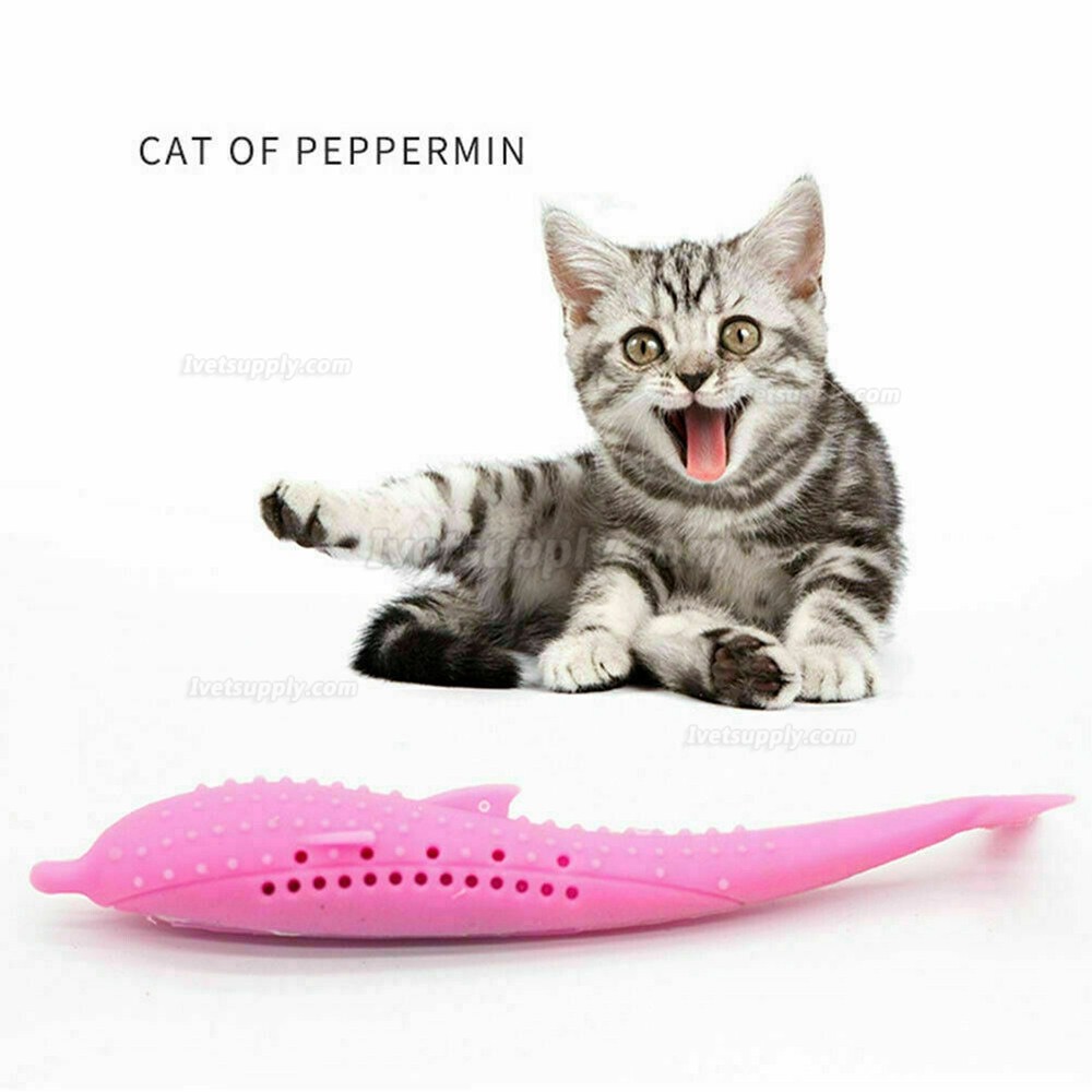 Pet Cat Silicone Catnip Toothbrush Fish Shape Molar Stick Teeth Cleaning Toy 